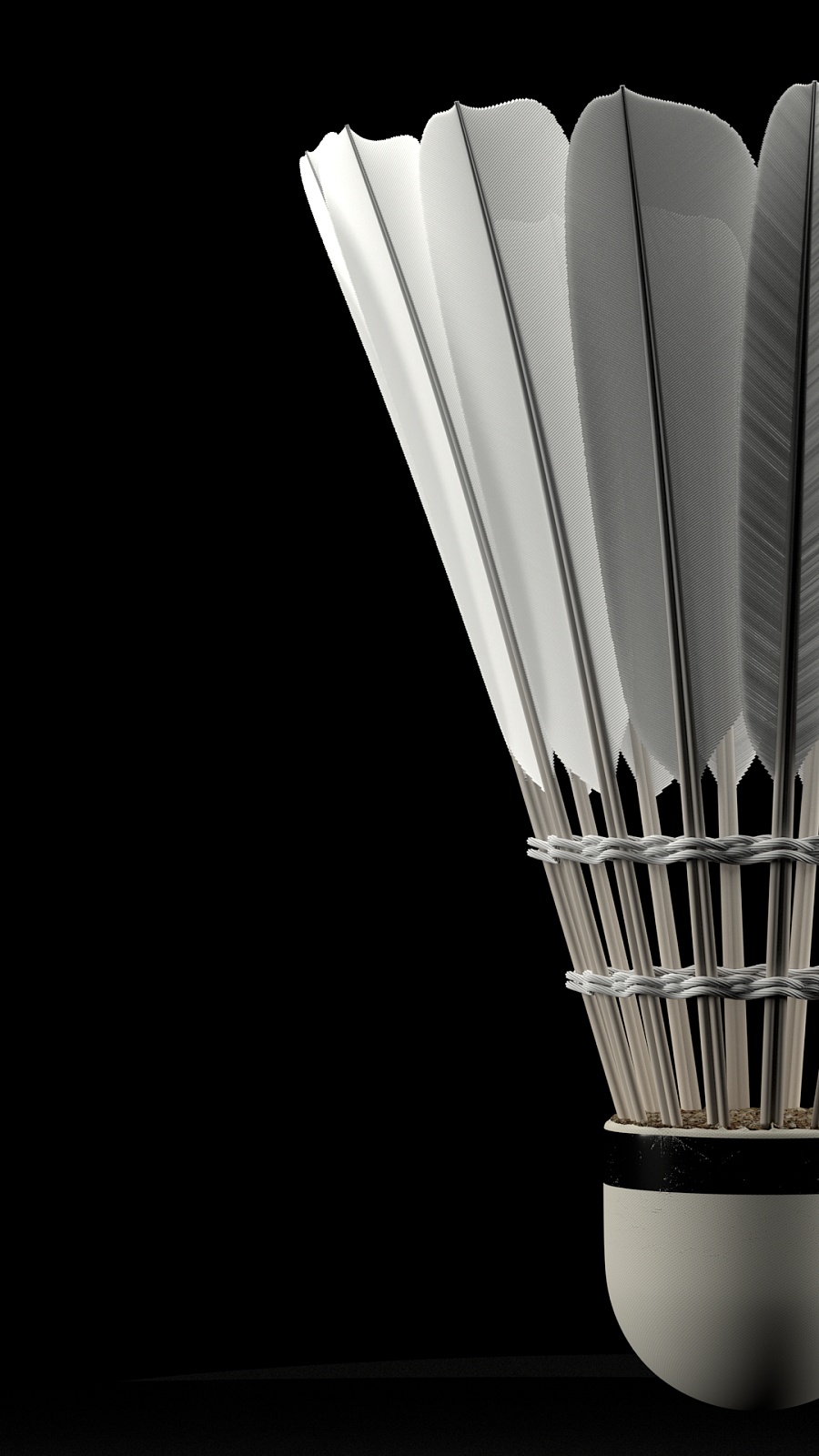 如曾凡博 如曾凡博