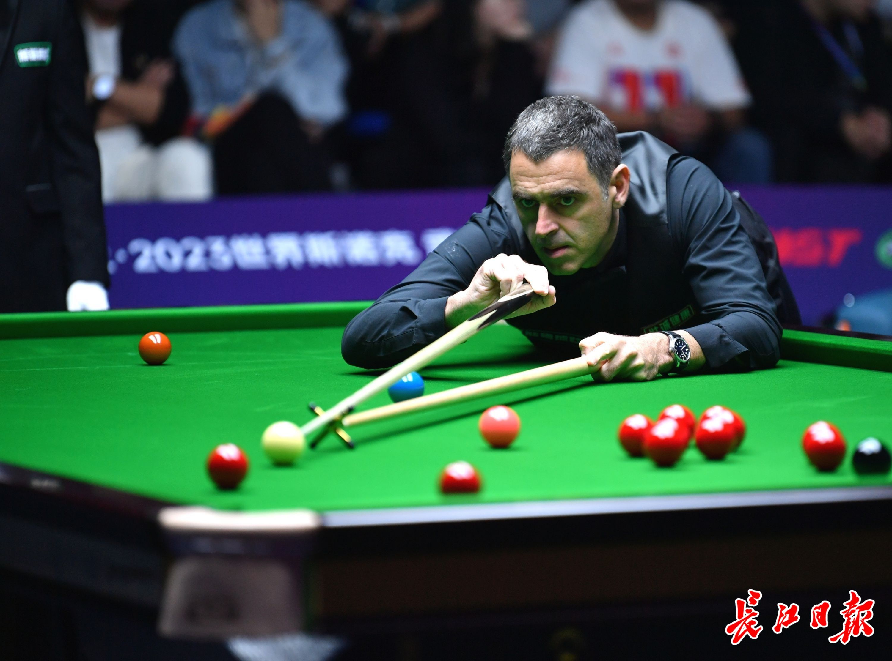 一个个绚丽 一个个绚丽