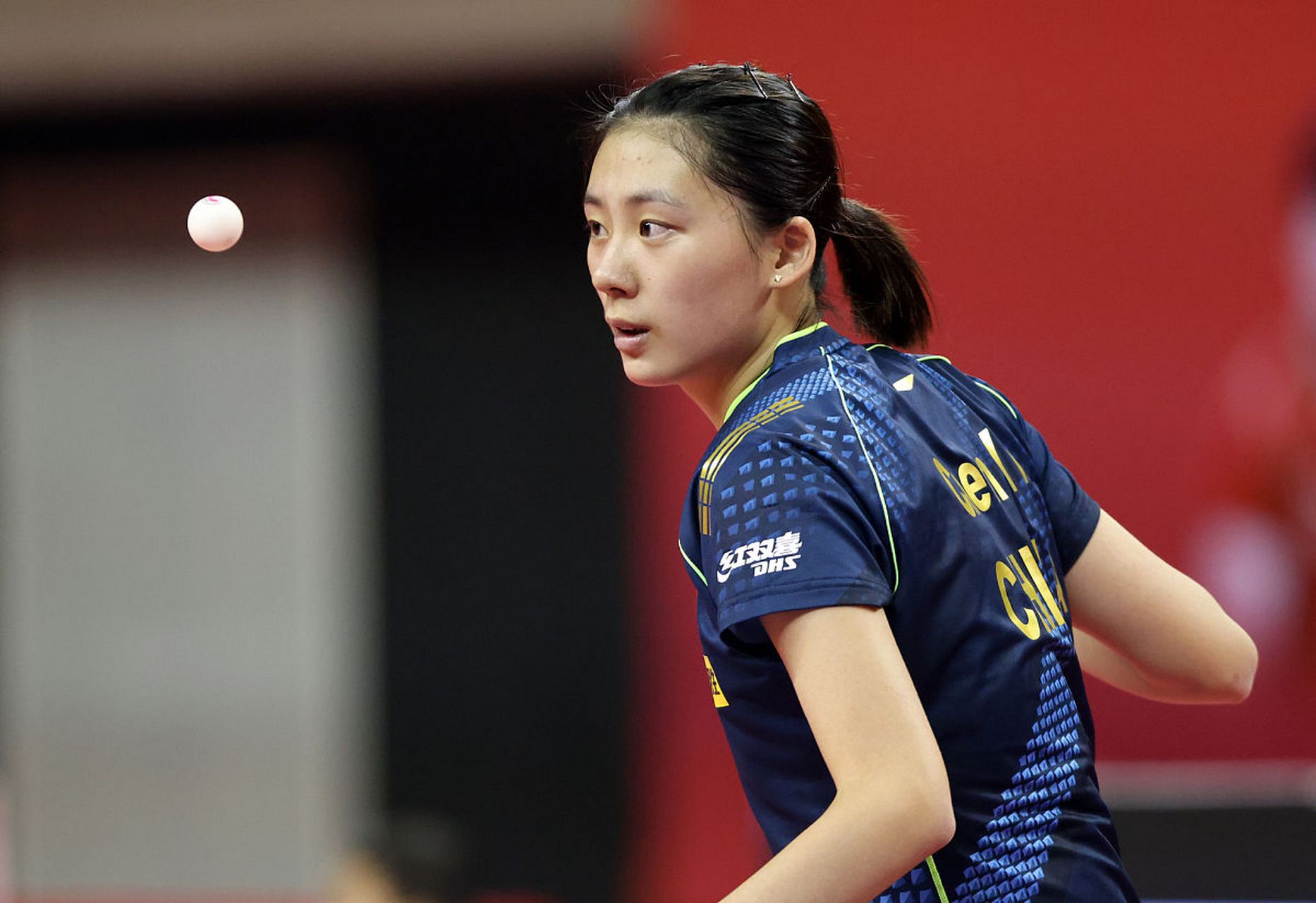 组在培养年 组在培养年